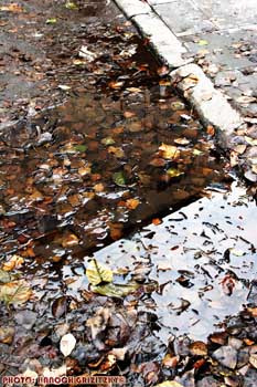 IMG_ (11073)
